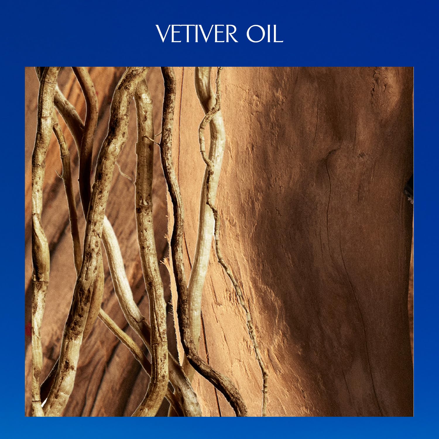Davidoff Cool Water Parfum – Fougère-Duft für Herren – Mit rosa Pfeffer, Vetiver und Sandelholz – Langanhaltender Duft