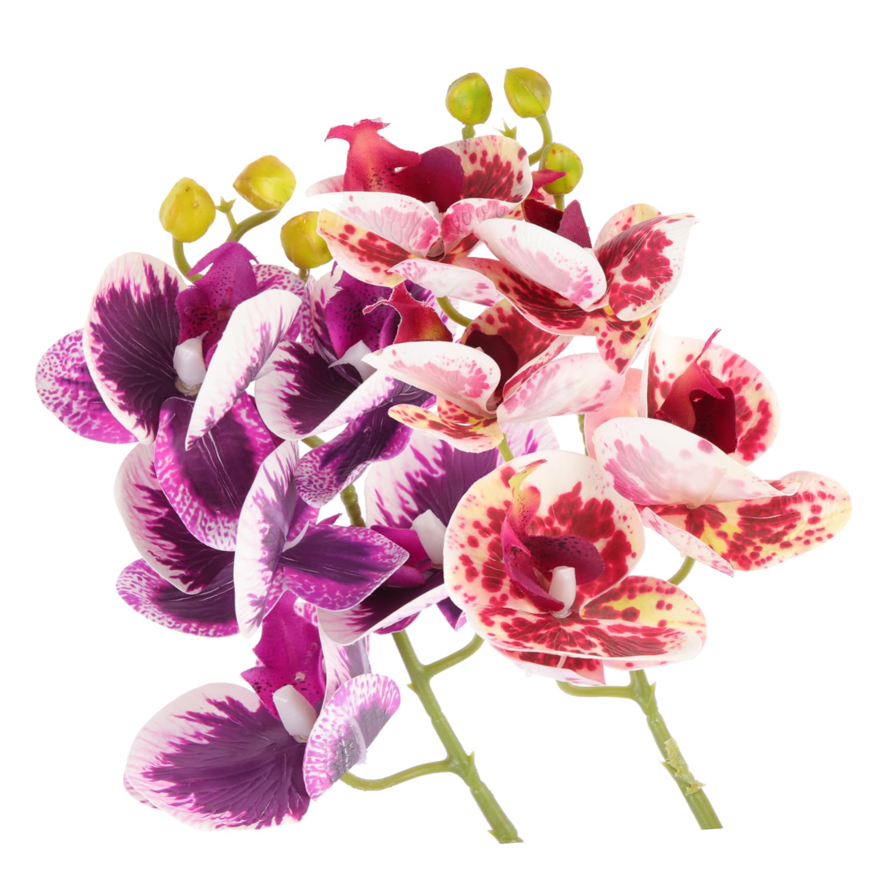 DOITOOL 4piezas Adornos De Plantas Artificiales para Terrarios y Acuarios Decoración Realista para Reptiles y Peces Suministros para Reptiles Simulación De Plantas Naturales