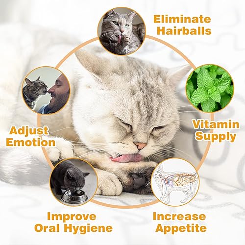 Miniatura 3 de Paquete de 4 bolas de hierba gatera, bola de hierba gatera para pared de gatos, juguetes comestibles para gatos lamen, juguetes masticables seguros