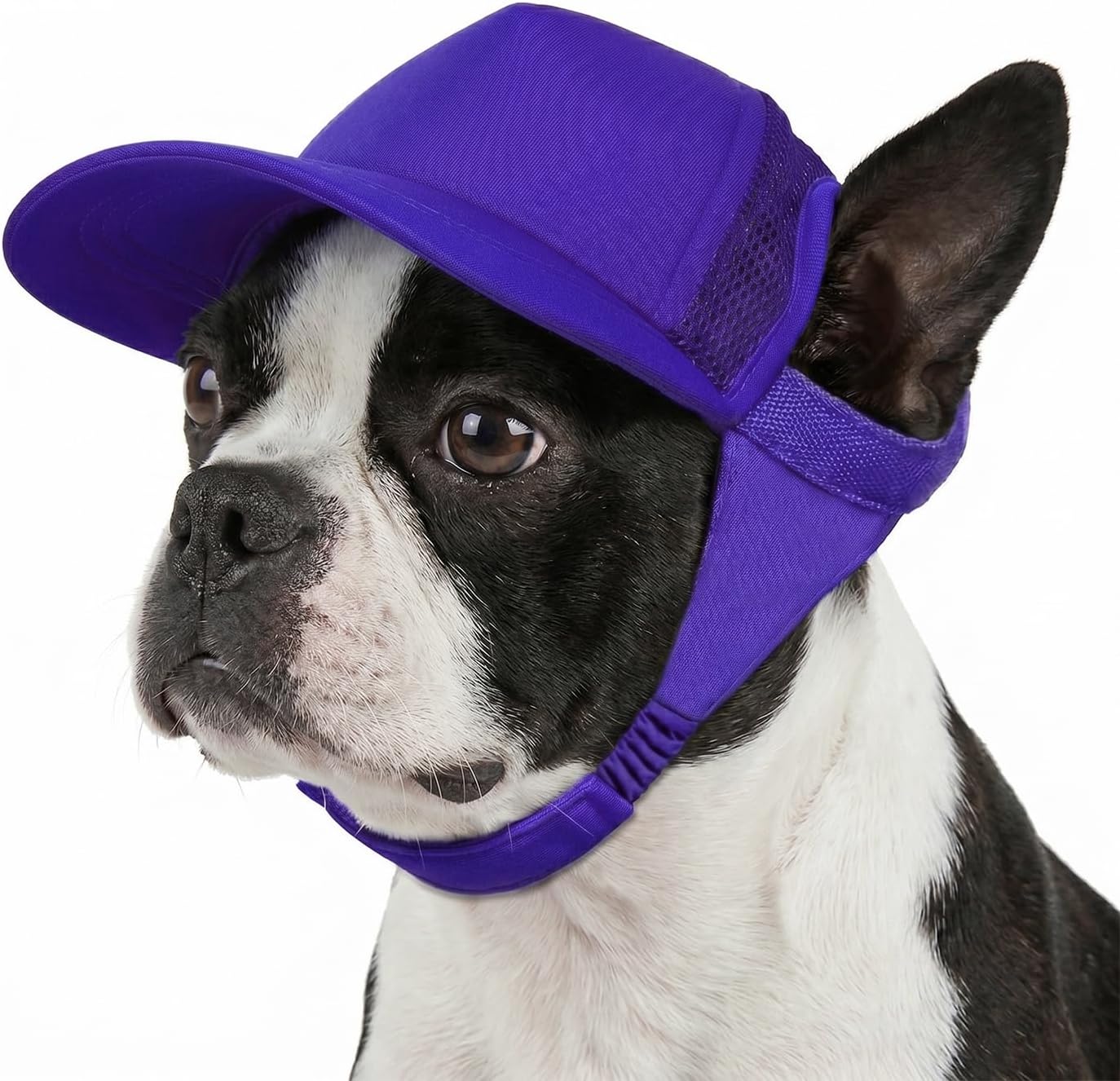 Tuff Pupper Dog Baseball Cap | UV Protection Dog Sun Hat | Breathable Lightweight Design | Secure Adjustable Chin Strap | Quick-Dry Fabric | Reinforced Brim | Small Medium Large Dogs (Purple, S)