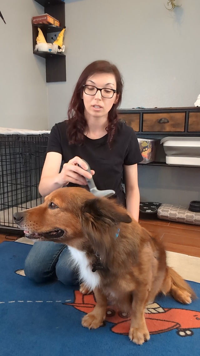 video