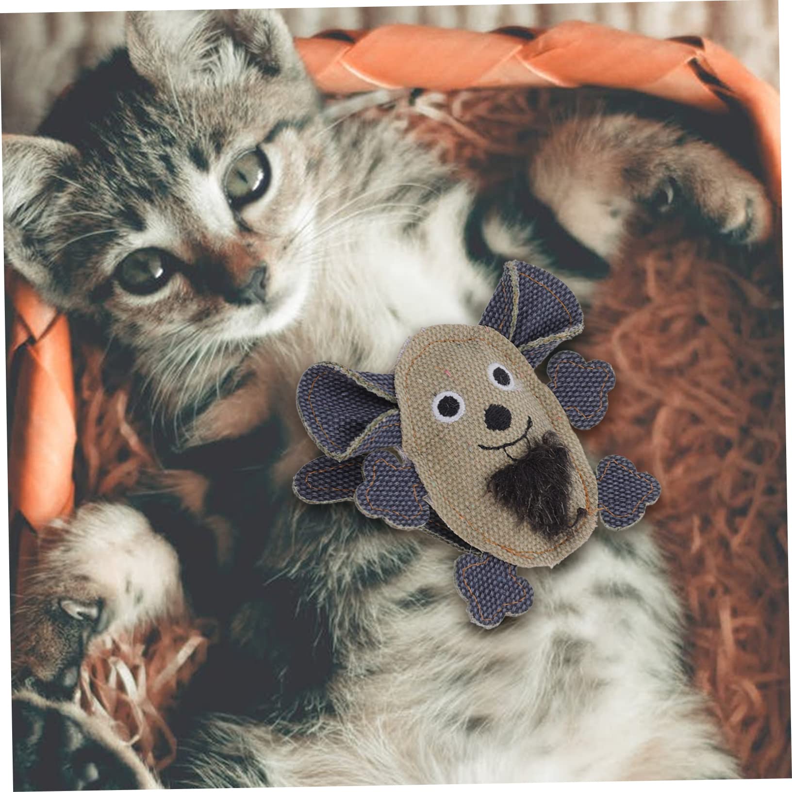 FRCOLOR 10stücke Katzenspielzeug Aus Atmungsaktivem Material Interaktive Mäuse Mit Katzenminze Langlebig Und Ansprechend Zur Unterhaltung Von Kätzchen Bekämpfung Von Langeweile