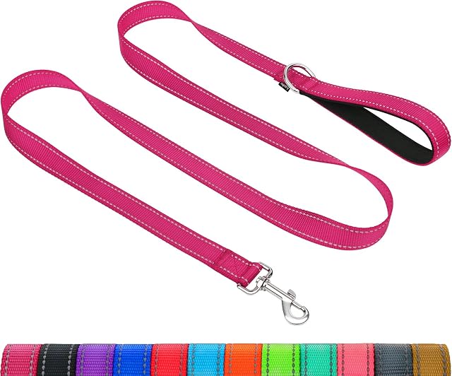 Taglory Reflective Dog Training Lead, Neoprene Padded Handle and Metal Hook, 1.2 m x 2.0 cm Nylon Leash for Small Dogs, Hot Pink