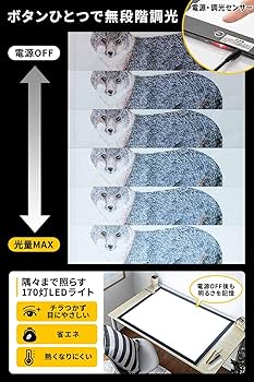 サンワダイレクト トレース台 A1 Amazon.co.jp: サンワダイレクト トレース台 A1 薄型8.5mm LED