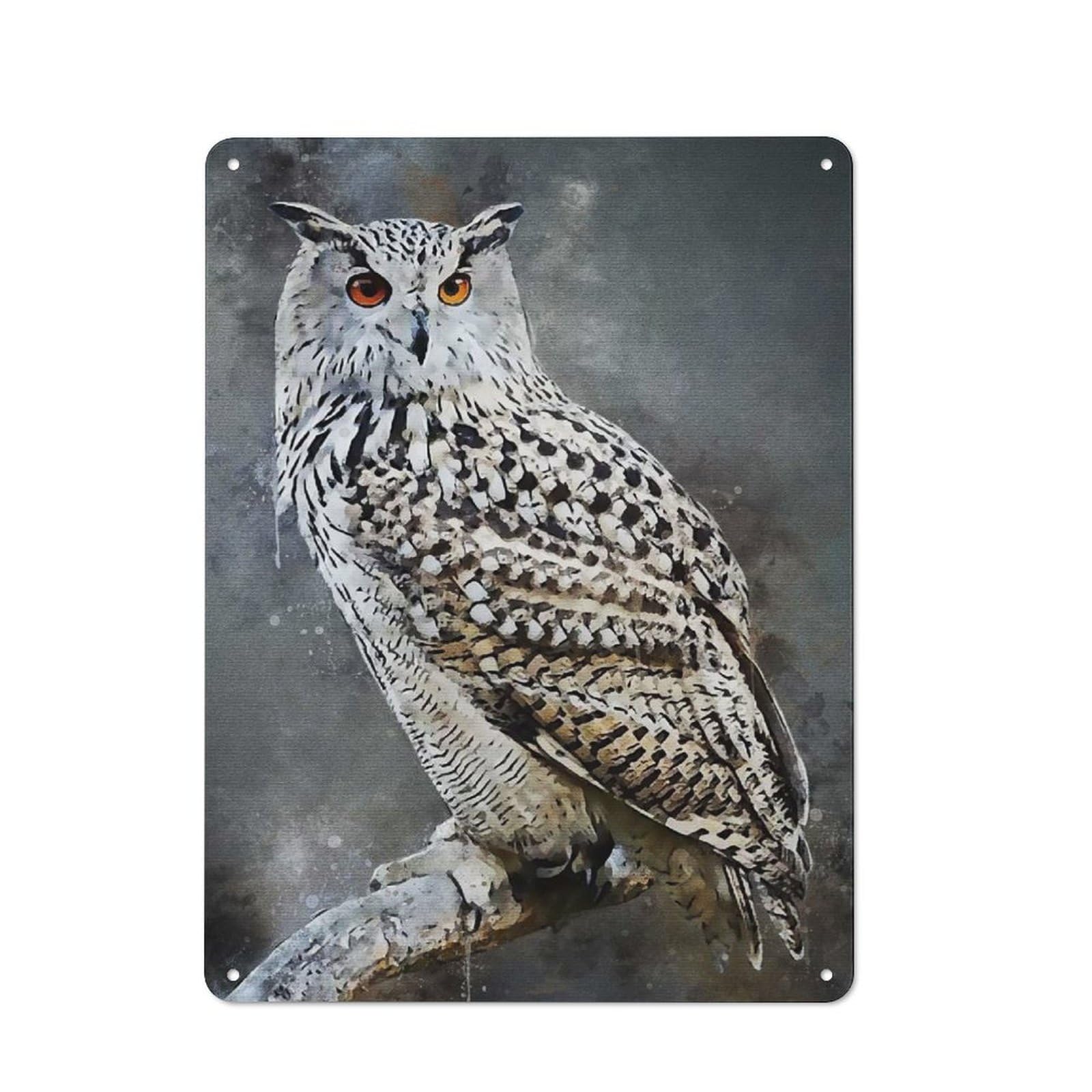 Owl Watercolor New Metal Wall Plaque for Halloween Party Room, Bar, Hallway Or Kitchen, Seasonal Gift for Friends And Spooky Decor Lovers, 40x30cm