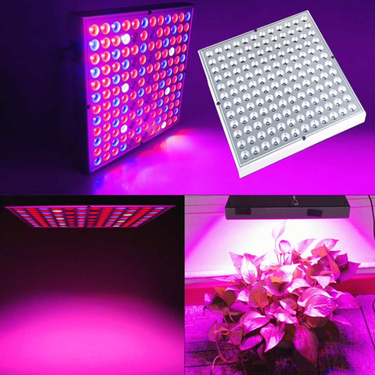 Lampada LED da Coltivazione 45w in Plastico Argento per Fiori | Distribuzione Uniforme della Luce, Lunga Durata, Adatta a Serra e Piantine Indoor