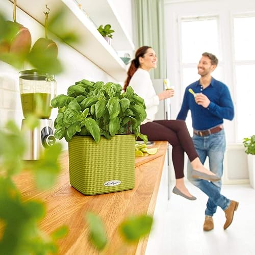 Miniatura 2 de Lechuza 13478 Cube Color 16-Sand Brown Interior  Exterior Macetero