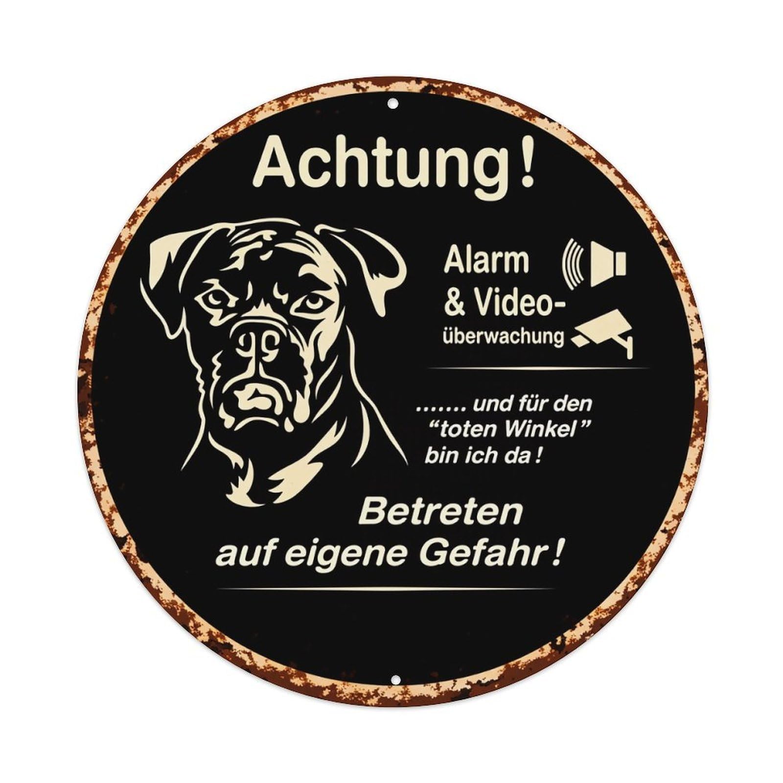 Attention Alarm Video Surveillance Dog Enter Metal Tin Sign Plaque