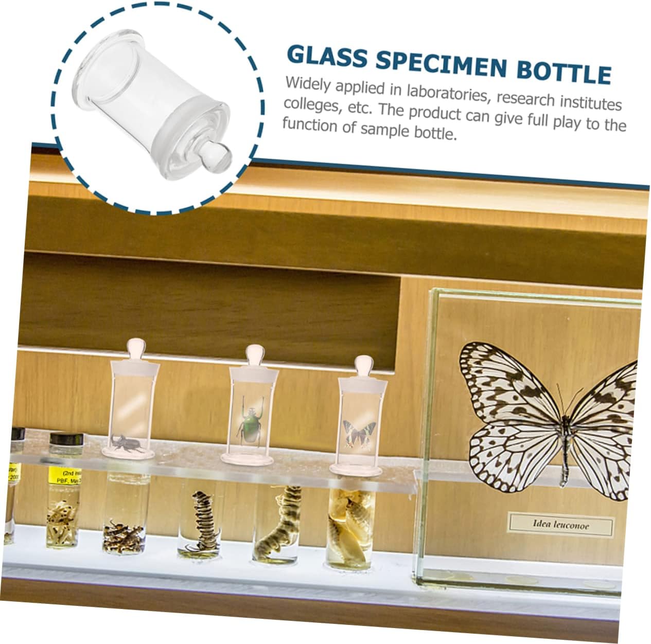 STOBAZA High Borosilicate Glass Specimen Bottle Non-Lead Chemistry Storage Vial Sealed Thickened Sample Jar for Laboratory Use 2pcs