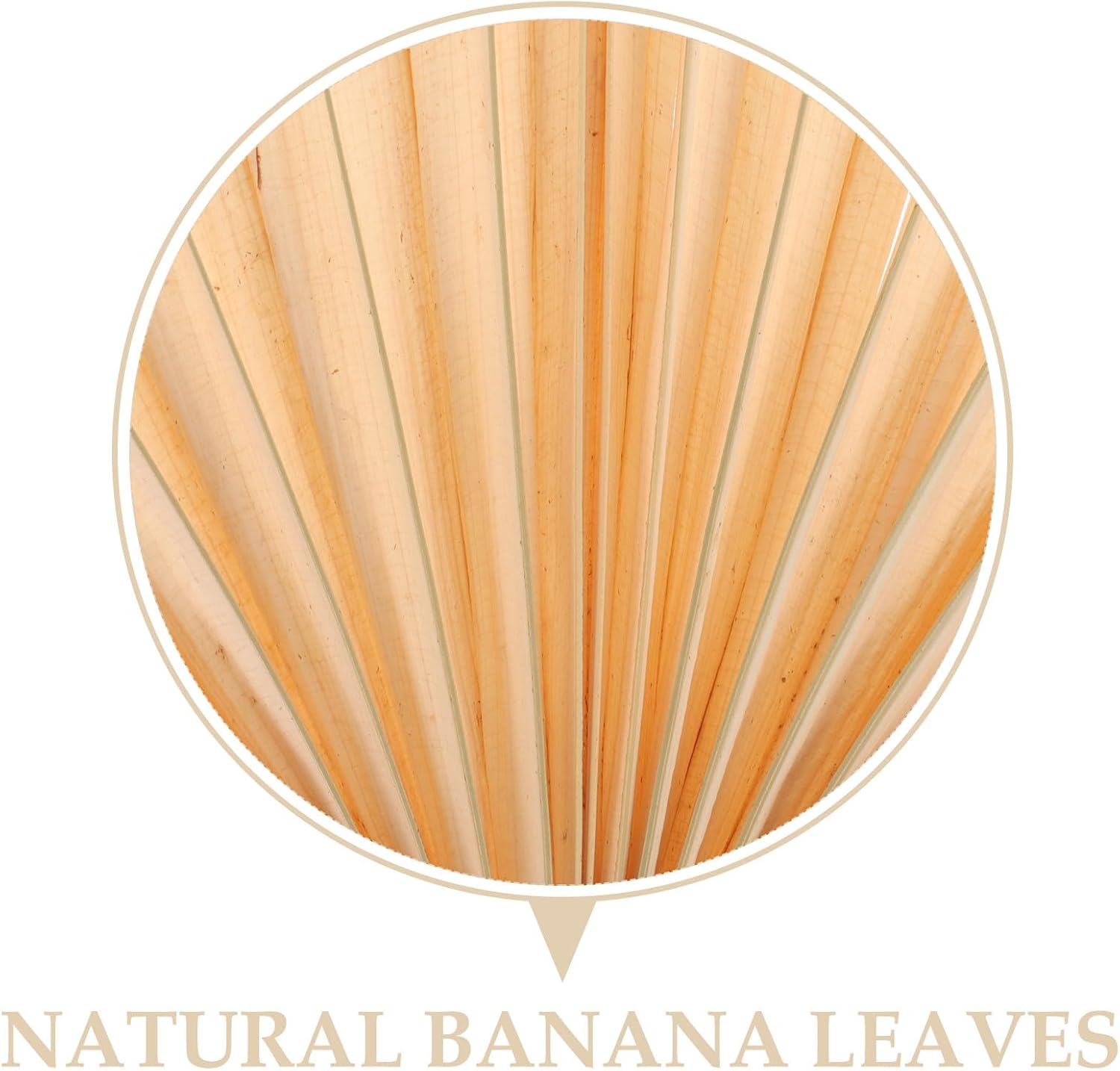 Handmade Palm Leaf Decorative Fan for Beach Party and Barbecue image 3