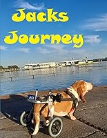 Vista 1 de Jack's Journey A man and his Basset Hounds