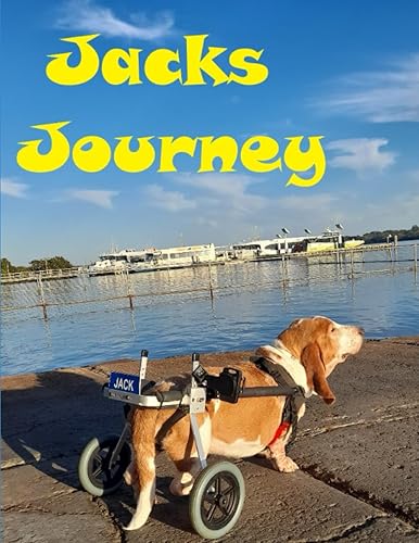Jack's Journey A man and his Basset Hounds