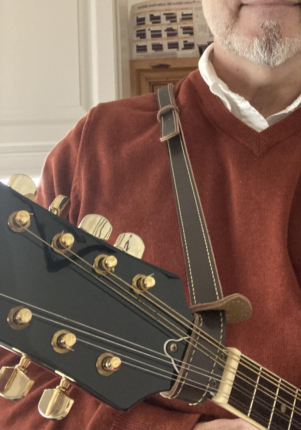 Rayzm Mandolin Strap, Genuine Leather Strap with Suede Backing, Quality