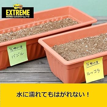 エコメルカリ便 6枚セット ステン バット 大3枚小3枚
