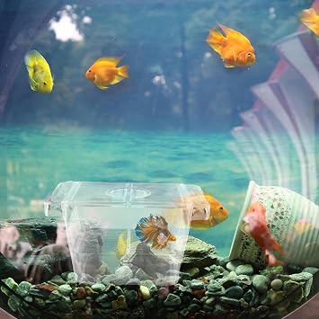 Aquarium Fish Breeding Box,Acrylic Fish Hatching Incubator Box,Transparent Double-Layer Isolation Tank for Shrimp & Betta(12.6 * 7 * 7cm)