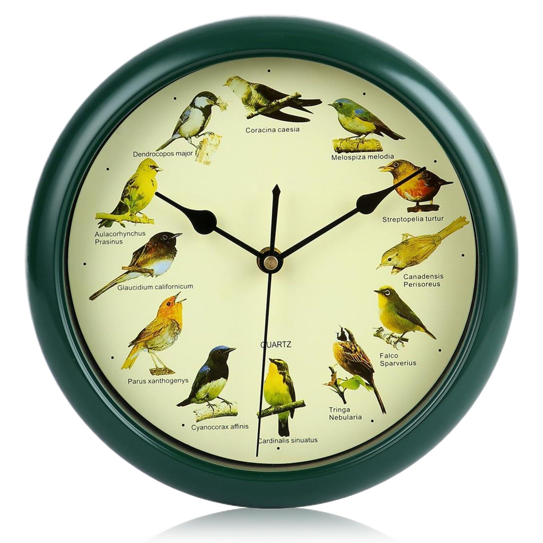 Horloge à coucou pour salon et bureau : vivez au rythme des 12 chants d'oiseaux de nos forêts