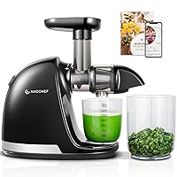 AMZCHEF Estrattore Frutta e Verdura - Estrattore a Freddo Pofessionale