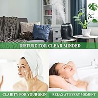 Vista 442 de MAYJAM - Aceite esencial de anís estrella, aceites puros de estrella de anís para difusores, 3.38 onzas líquidas, aceite esencial de anís estrellado