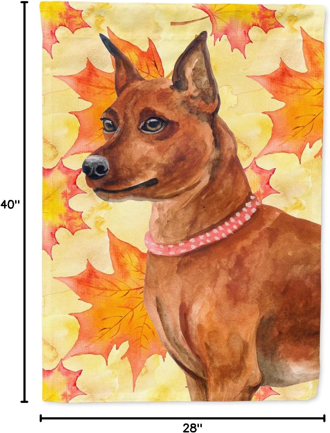 Caroline's Treasures BB9917CHF Miniature Pinscher Fall House Flag, Yellow Large Porch Sleeve Pole Decorative Outside Yard Banner Artwork Wall Hanging, Polyester, House Size, Multicolor
