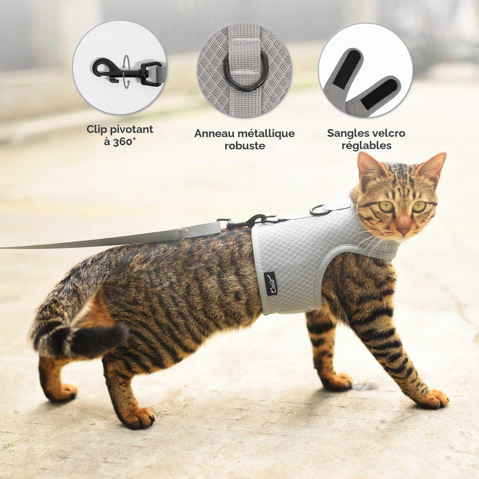 Harnais et Laisse Anti-Fugue pour Chat - Tissu en Maille Respirante - Harnais réglable, rembourré et élégant - Gris uni, Taille L