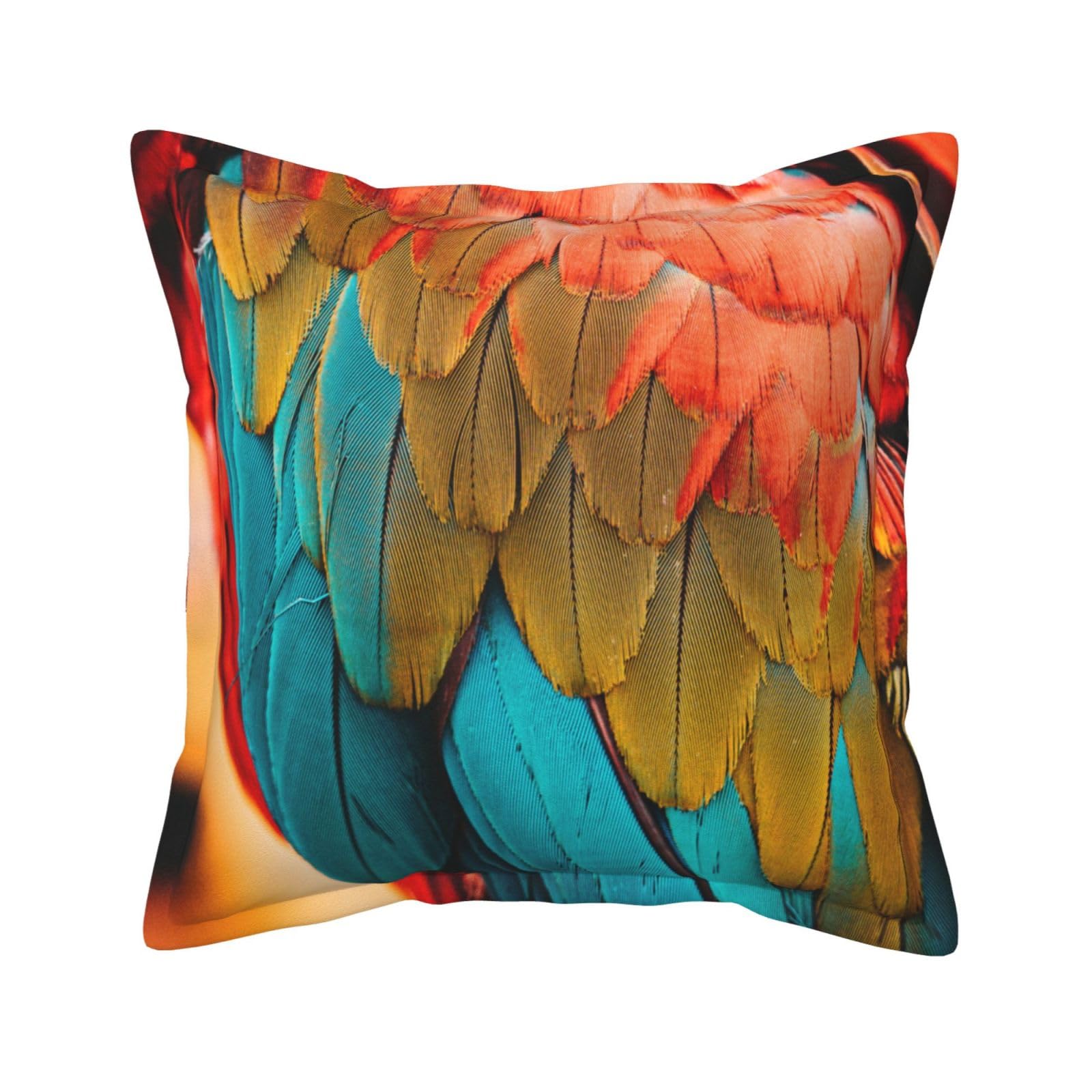 Housses de coussin décoratives plumes rouge bleu vert extérieur lit canapé 45x45