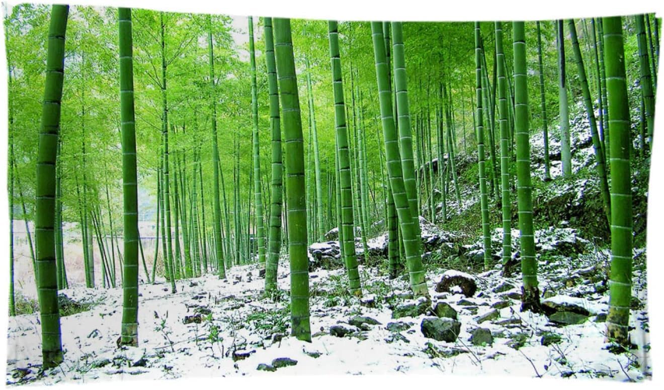 Strandtuch Chinesischer Bambus, Mikrofaser Strandtuch Verschneite Landschaft Handtuch Extra Groß 200x200 cm Badetuch Strandhandtuch Schnell Trocknendes Saunatuch, reisehandtuch, Badehandtuch A317