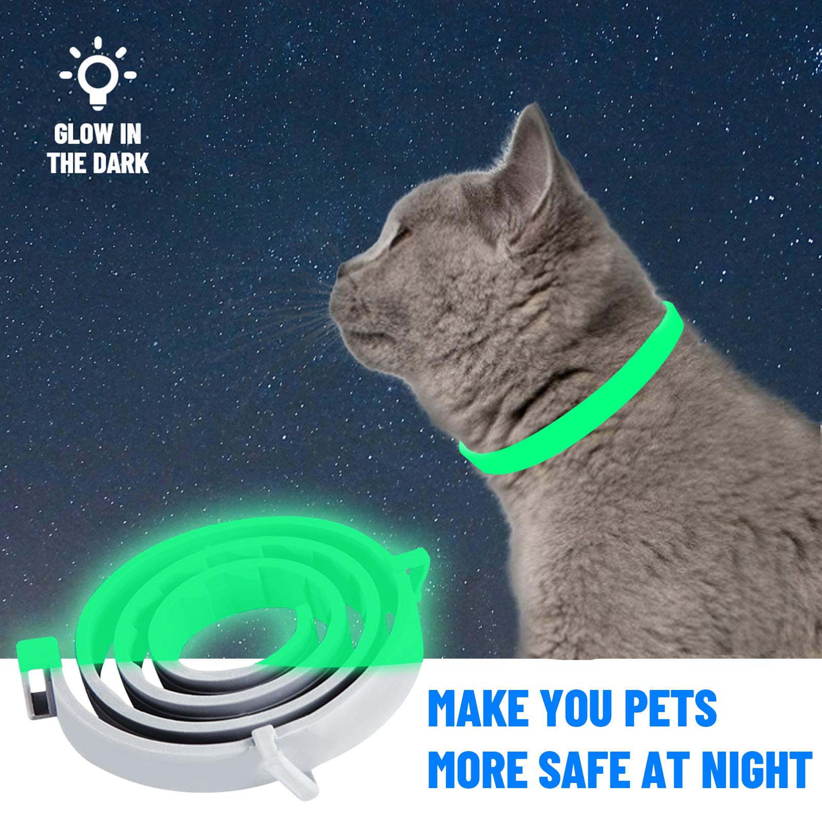 Collare Antiparassitario per Gatti, Collare Antipulci per Gatti Impermeabile Regolabile Naturale con Protezione di 8 Mesi, Si Illumina al Buio, Soluzione Sicuro Contro i Parassiti per Gatto