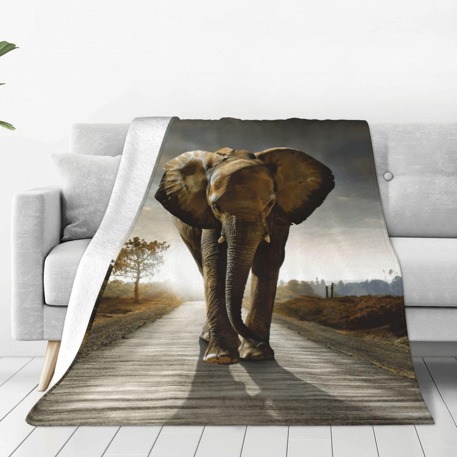 Couverture polaire éléphant 3D chaude contre les nuits fraîches