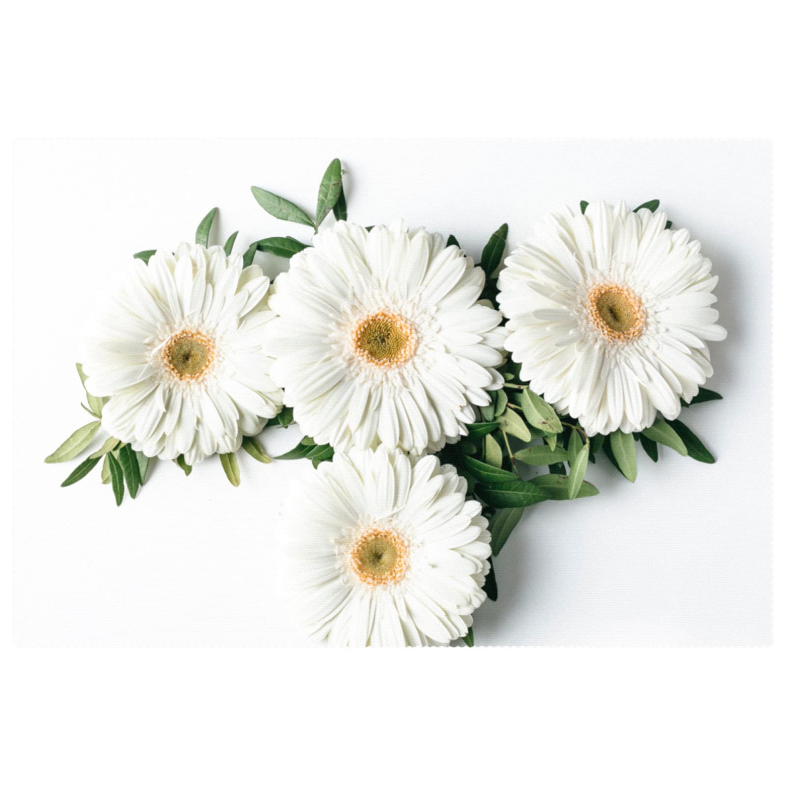 Sets de table marguerites blanches anti-rayures et anti-chaleur pour salle à manger lot de 6