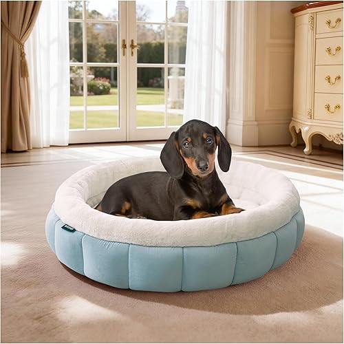 Miniatura 15 de BALANCE Camas para gatos de interior, cama redonda lavable para gatos, bonita cama para gatitos con parte inferior antideslizante para gatitos y