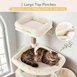Globlazer Tour de l'arbre de chat extra grand, 82inch Grand arbre de chat lourd de service pour les chats à l'intérieur Grand adulte Grande tour de chat avec 8 Postes de fouille, 2 Condos Cat, 2 Des perchoirs haut de gamme, 3 Des paniers suspendus, S82, Béige