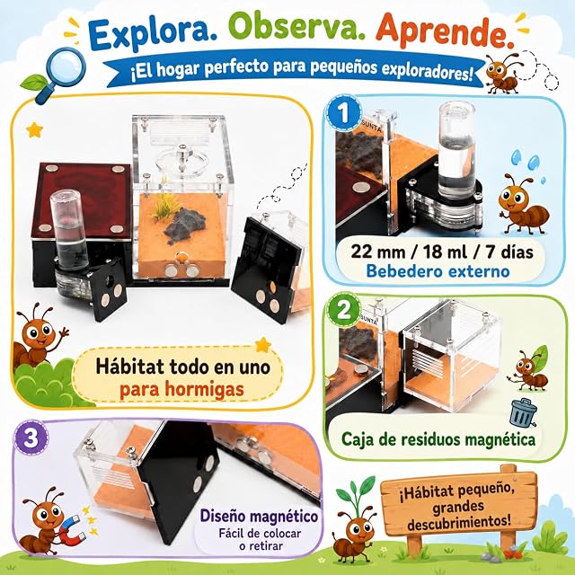 Foto 4 de 8 de Rimsunta Formicarium - Hábitat de granja de hormigas para hormigas vivas y reinas, kit educativo para adultos…