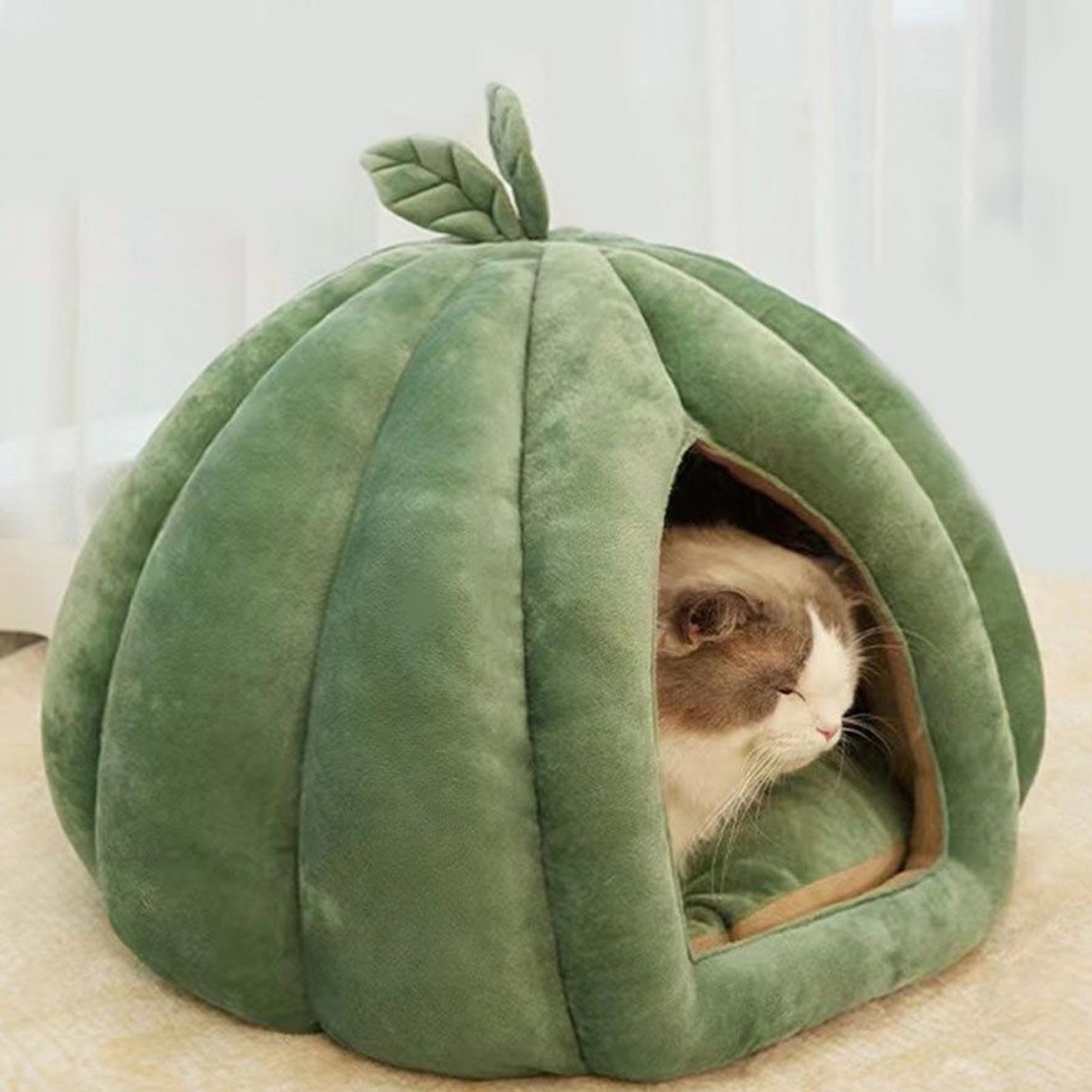 - Cuccia per gatti, cuccia chiusa, cuccia per gatti, cuccia per gatti, cuccia di Halloween, cuccia per gatti per gattini, cani di piccola taglia, inverno, casa, interni