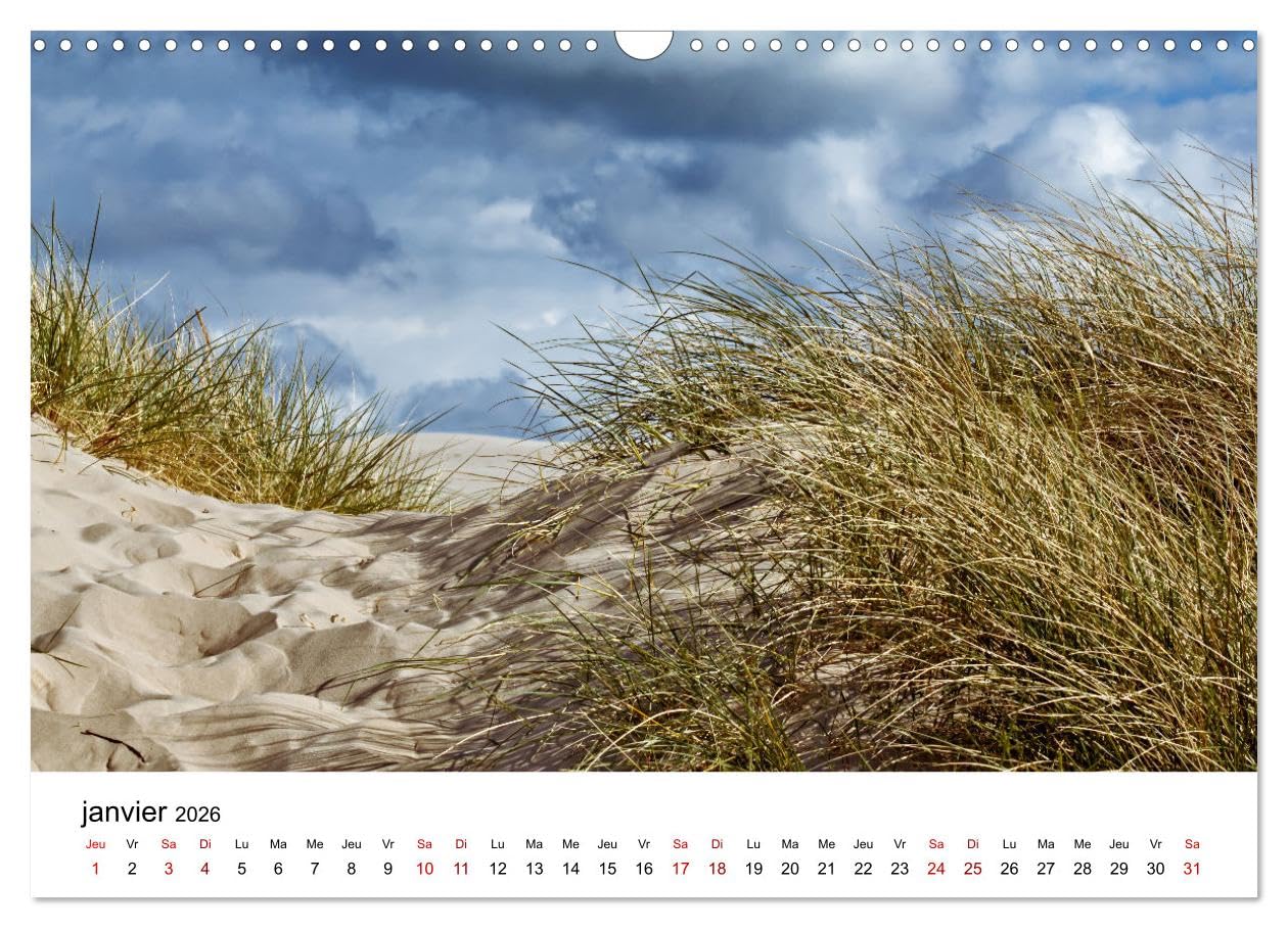 Dunes et mer - Une expérience nature (Calendrier mural 2026 DIN A3 vertical), CALVENDO calendrier mensuel: La mer et les dunes sont un habitat unique ... découvertes à l'observateur attentif.