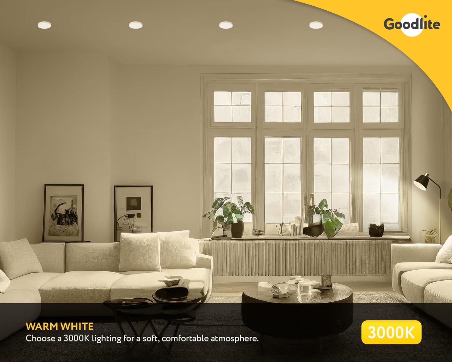 Goodlite A21 LED Light Bulb 22 Watt (150 Watt Equivalent) - Dimmable, High Output 2600 Lumens, Warm White 3000K (30K), Indoor and Outdoor, UL Listed, Long Lasting 15,000 Hours, 1 Count (G-19864)