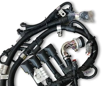 Amazon.com: Seapple Electronic Control Module Harness 2864488