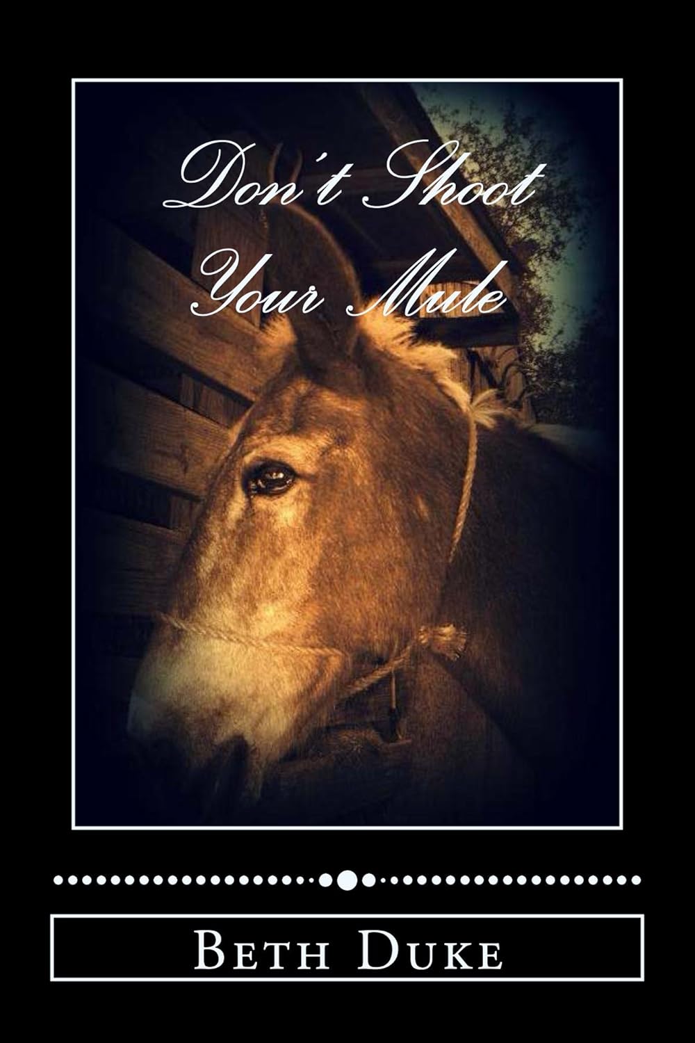 Don't Shoot Your Mule (Delaney's People Series Book 2)      Kindle Edition