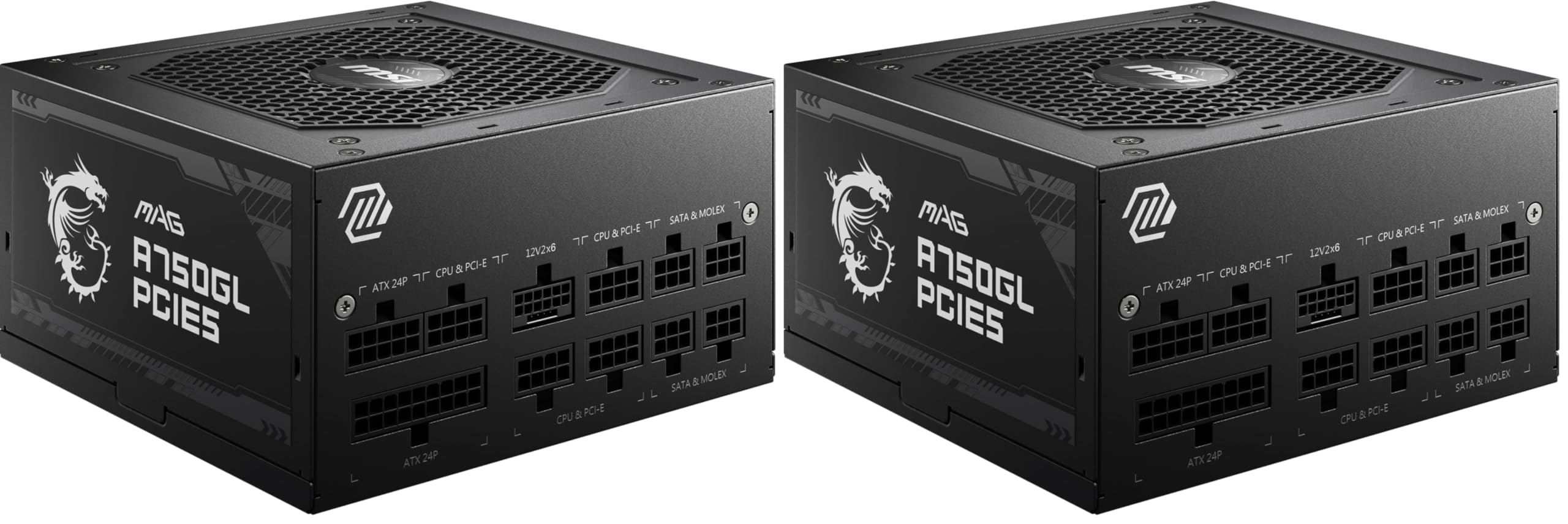 MSI MAG A750GL PCIE5 - EU Cord (Pack of 2)