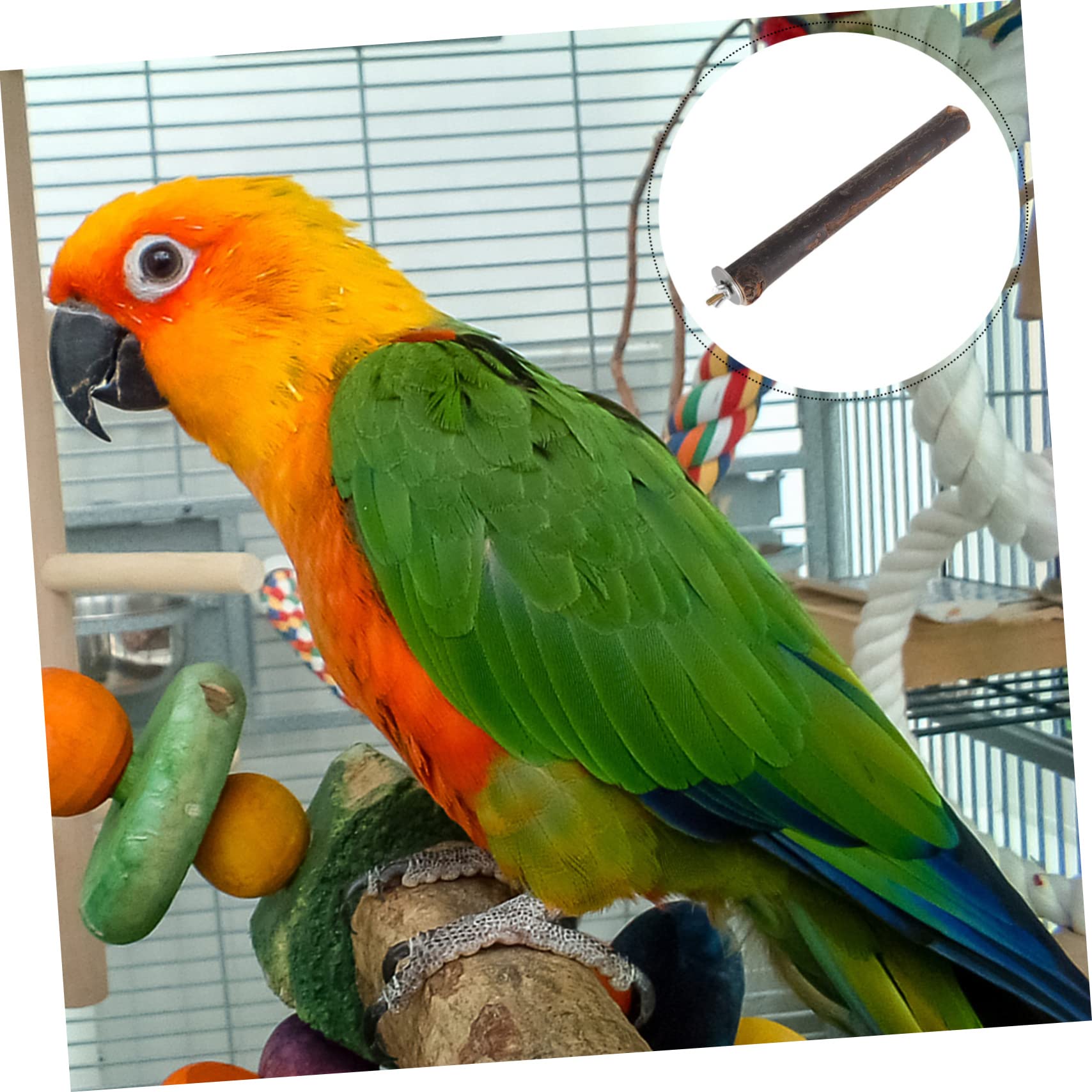 BESPORTBLE 8pezzi Giocattoli Per Uccelli Con Posatoio Per Pappagalli Di Giochi Per Masticare e Sgranocchiare Per Cage e Attività Ricreative