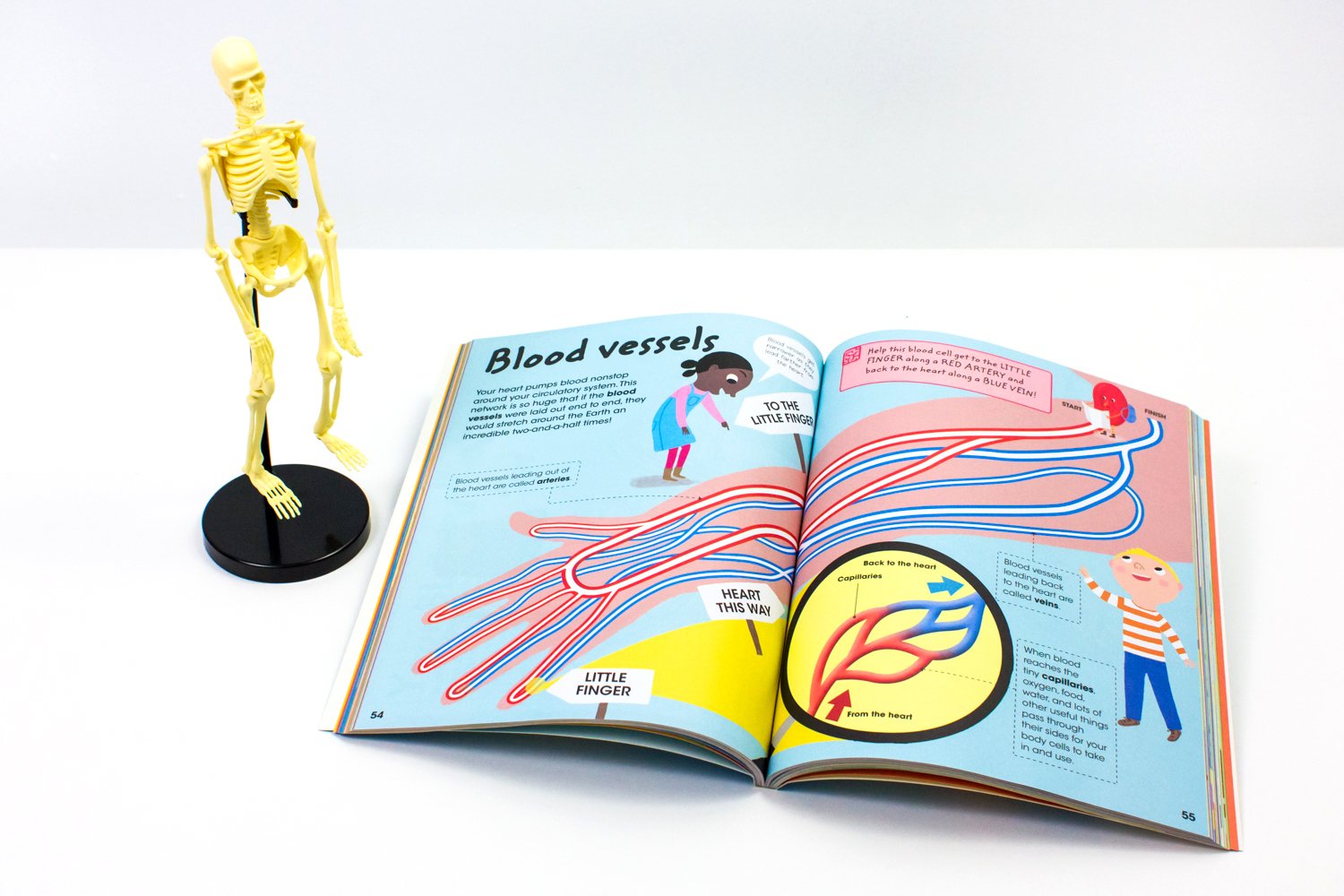 Human Body Factivity (Discovery Kids)      Paperback – August 13, 2015