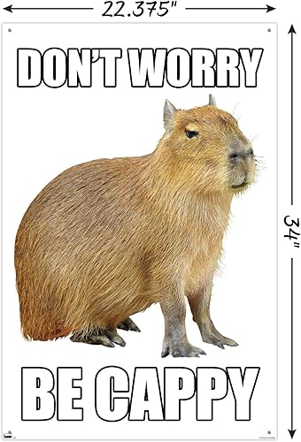 Miniatura 3 de Trends International Capybara - Póster de pared Be Cappy, 22.37 x 34.00 pulgadas, paquete de póster y alfiler