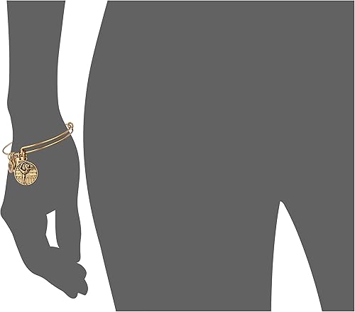 Vista 2 de Alex and Ani Team USA - Pulsera extensible para gimnasia