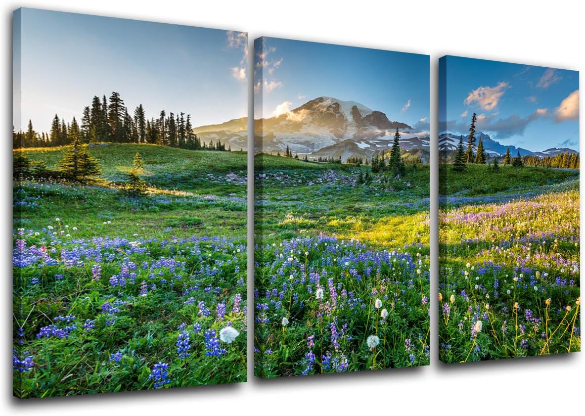 TUMOVO Native American Decor Mount Rainier National Park Paintings 3 Piece Canvas Wall Art Wildflowers at Sunset Pictures Modern Artwork Home Decora for Living Room Framed Ready to Hang(24''x36'') 24''x36'' Artwork-18