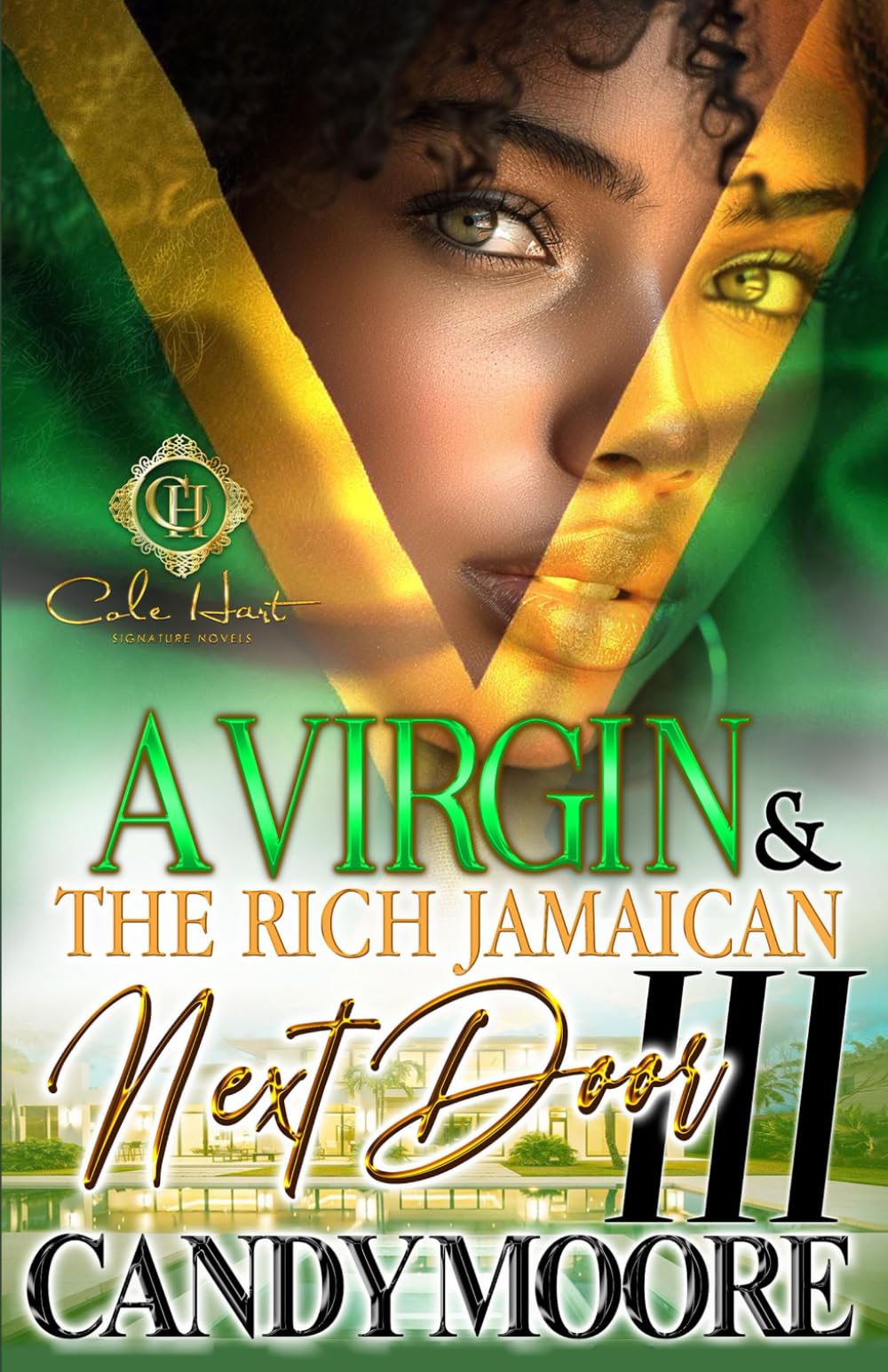 A Virgin & The Rich Jamaican Next Door 3: An African American Romance: The Finale