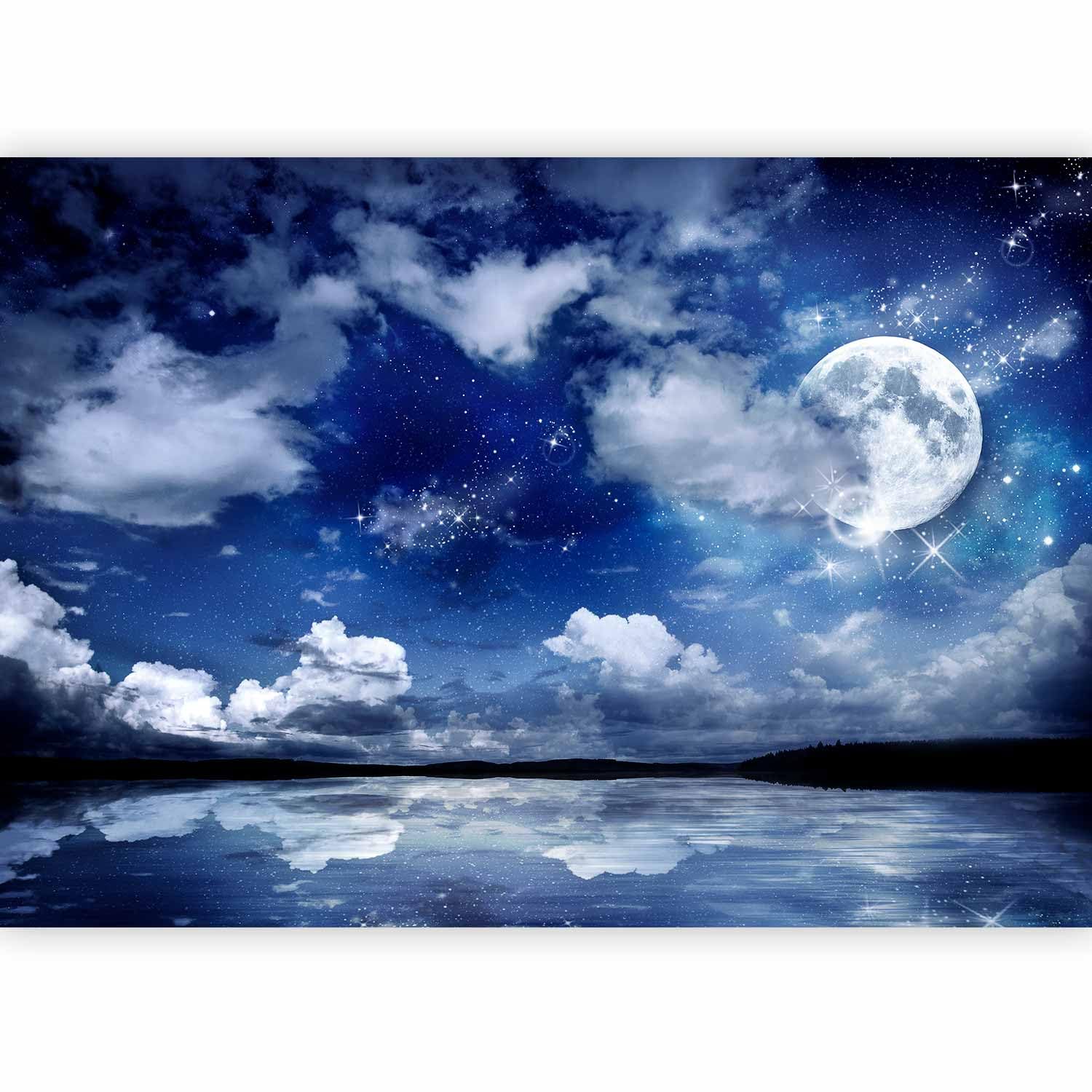 Fotomurales B&D XXL - 350x256 cm XXL Papel pintado tejido no tejido Decoración de Pared decorativos Murales moderna de Diseno Fotográfico naturaleza 10110903-27