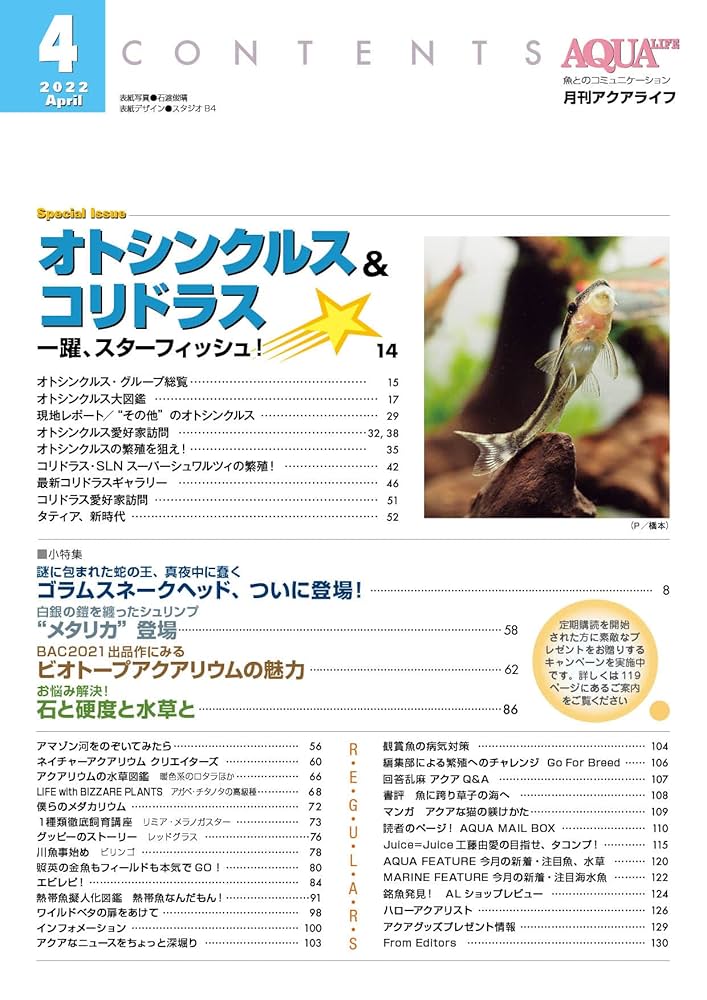 月刊アクアライフ　2022セット売 81ln+mgn+BL._AC_UL210_SR210,