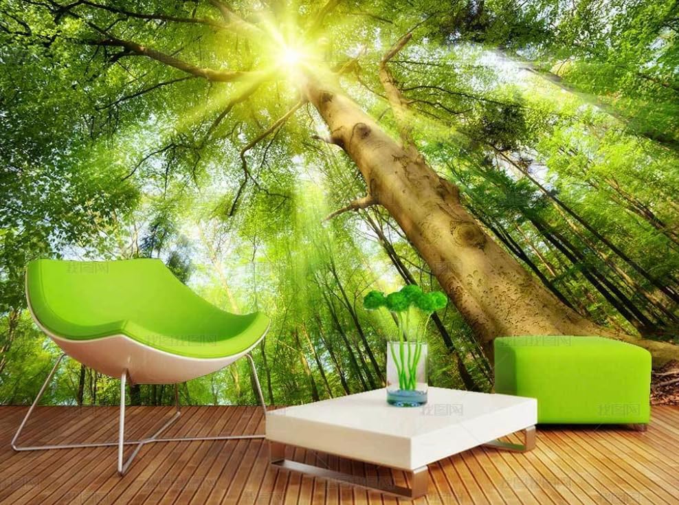 Papier Peint Intissé Forêt Haute Définition Grand Format Facile à Poser