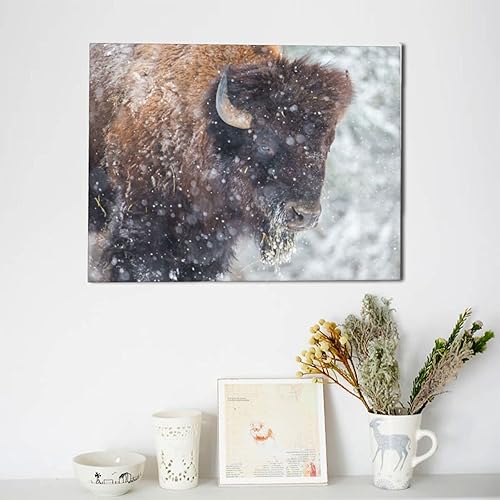 Miniatura 8 de Lienzo de bisonte o búfalo americano descansando en una tormenta de nieve, arte de galería de arte para pared, decoración de pared para dormitorio,