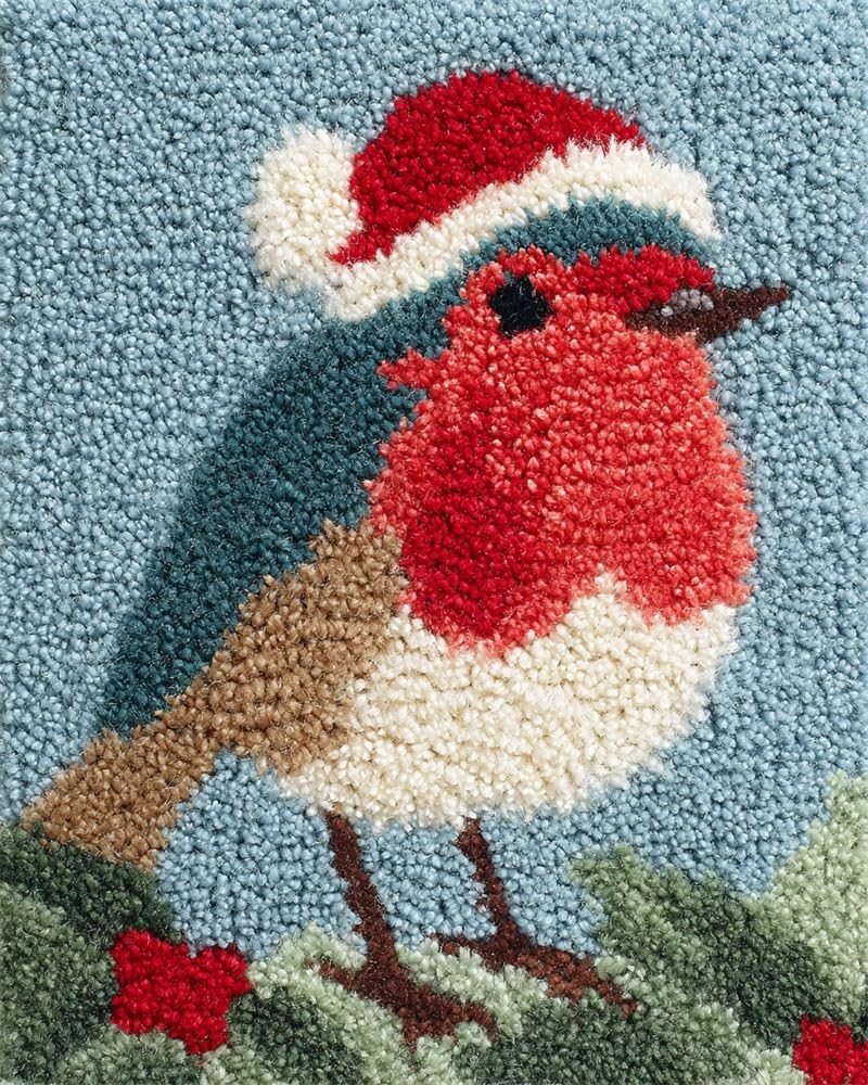 FWRTYCB Latch Hook KitsChristmas Robin Bird Xmas