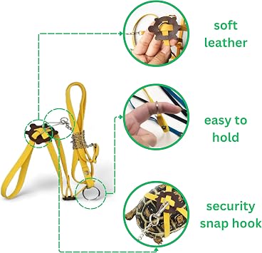 Adjustable Tortoise Leash and Funny Skateboard Set, Training Harness and Mini Skateboard for Turtle Dragon Bearded Lizard Small Pets, Pet Tortoise Toys, Accessories for Tortoises (Large)